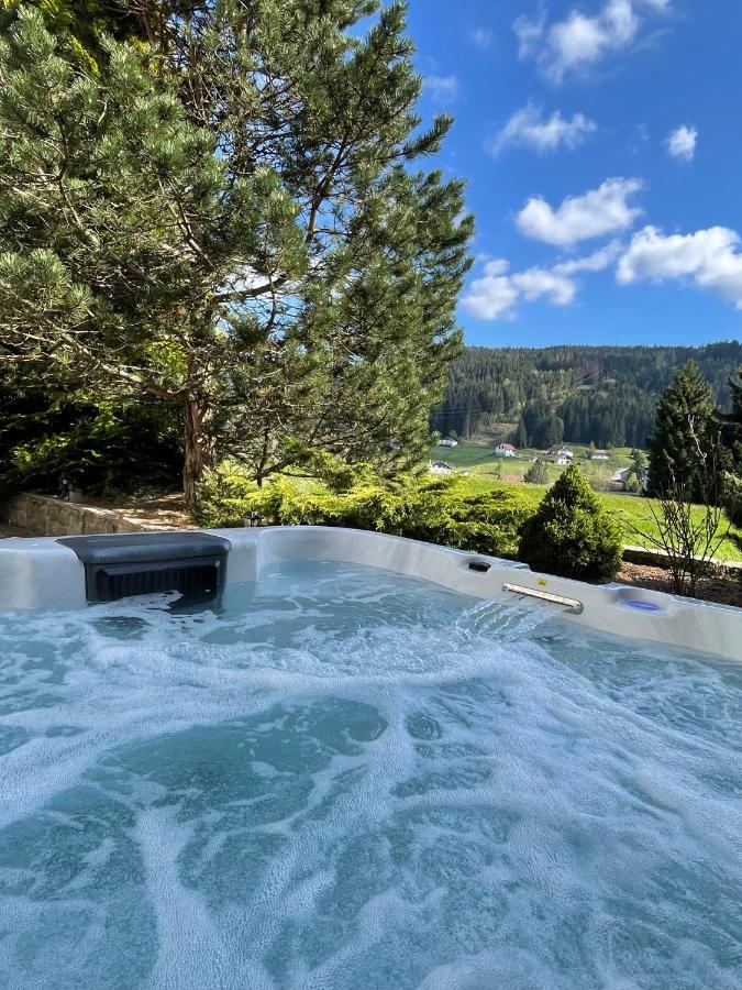 La Charbonniere, Grand Gite Haut-De-Gamme Avec Jacuzzi Et Sauna ジェラールメ エクステリア 写真